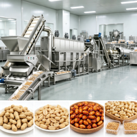 Ligne de production complète et automatique de snacks aux cacahuètes enrobés, avec enrobage, torréfaction, assaisonnement, refroidissement et emballage