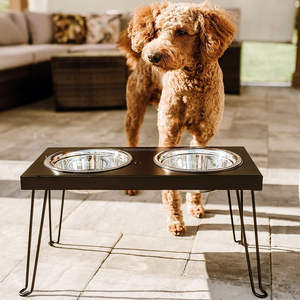 Support surélevé double pour chiens jambes en forme de V grands bols en acier inoxydable mangeoires pour chats et chiens en métal noir caractéristique automatique - Product Image 1