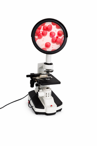 Microscopio Digital de Proyección Doom con Aumento de 100X-400X para Biología y Laboratorios Médicos, Visualización de Células Sanguíneas Vivas - Product Image 2