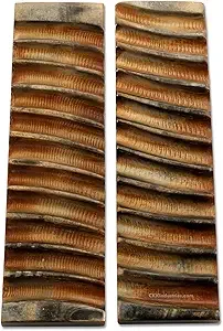 Escamas de cuerno de búfalo de agua de la mejor calidad, mango de cuchillo, diseño personalizado con patrón de serpiente, estilo Animal pulido, mástil de calidad superior - Product Image 6