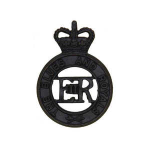 Insignia de Boina del Cuerpo Aéreo, Insignias Bordadas, Insignias Cómodas de Hilo Metálico - Product Image 4