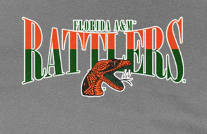 เสื้อฮู้ดคอลูกเรือทำด้วยผ้าขนสัตว์ใส่สบายพิมพ์ลายฤดูใบไม้ร่วง/ฤดูหนาวสำหรับผู้หญิง FAMU Florida A & M ของวิทยาลัยวินเทจ - Product Image 2