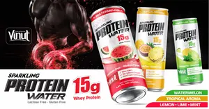 Sparkling Protein Water 250ml  24Pack VINUT - 15g Protein  0g Added Sugar  Lactose Free  Free Sample  Wholesale Suppliers