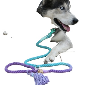 Laisse pour chien en corde de 3/8 pouces en coton gris Laisse pour chien Accessoires pour animaux de compagnie | Solid B - Product Image 1
