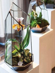 Top Quality Geometric Shape Clear Glass Geometric Terrarium Plants <b>Vase</b> Copper Finish Handcrafted Terrarium <b>Vase</b> Wholesale - Product Image 3