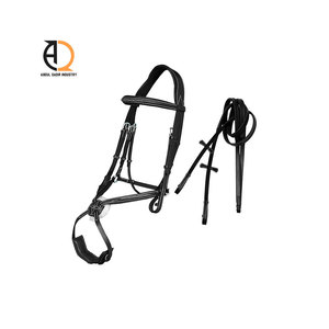 Juego Completo de Brida Inglesa para Carreras Ecuestres, Riendas, Cabestro de PVC, Riendas y Martingala - Product Image 1