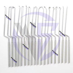 Juego de Curetas Neuroquirúrgicas Pituitarias Resistentes de Alta Calidad, 19 Piezas, Instrumentos de Cirugía Pituitaria Transesfenoidal, Acero Inoxidable Plateado - Product Image 1