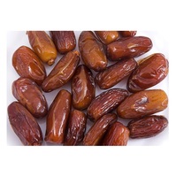 Gedroogde dadels groothandel dadels zaden verse gedroogde dadels fruit