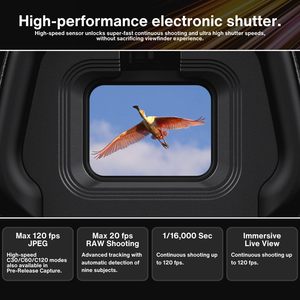 ชุดกล้องวิดีโอ Z6III มิเรอร์เลส พร้อมการ์ดหน่วยความจำ SDXC UHS-I 64GB เลนส์ 24-70 มม. F4 S ชุดอะแดปเตอร์ยึดติด และกระเป๋าซอฟต์แวร์-5 รายการ - Product Image 6