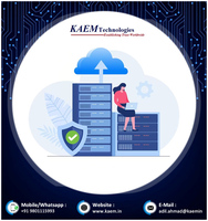 Servicios de administración de bases de datos profesionales Versión OEM compatible con DOS Mac iOS-Aplicación de servidor de venta de software empresarial