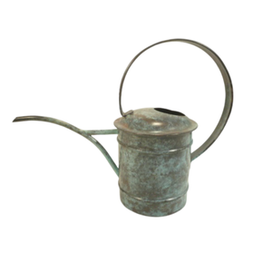 Lata de Agua de Metal Galvanizado de Estilo Vintage para Decoración del Jardín del Hogar, Artículo Decorativo, Rociador de Plantas Personalizado - Product Image 1
