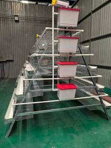 Jaula para Pollos Tipo A Comercial con Sistema Automático de Alimentación, Eliminación de Estiércol y Bebederos para Granjas Avícolas - Product Image 4