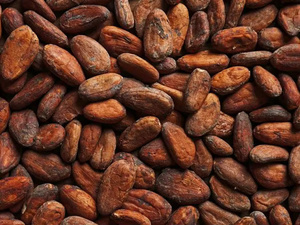 Certified Raw Dutched Cocoa <b>Powder</b> Food Grade 25kg <b>Dusted</b> Packed in Bag - Product Image 2