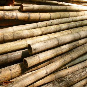 Pôles en bambou robustes et durables pour l'échafaudage, la décoration intérieure, les usages agricoles et industriels - Product Image 1