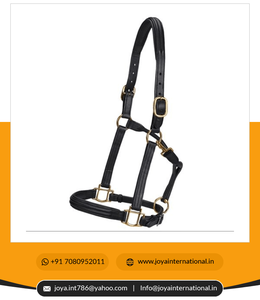 Halter en cuir personnalisé de haute qualité Double conception surélevée pour les courses de chevaux prix de gros intelligent - Product Image 6