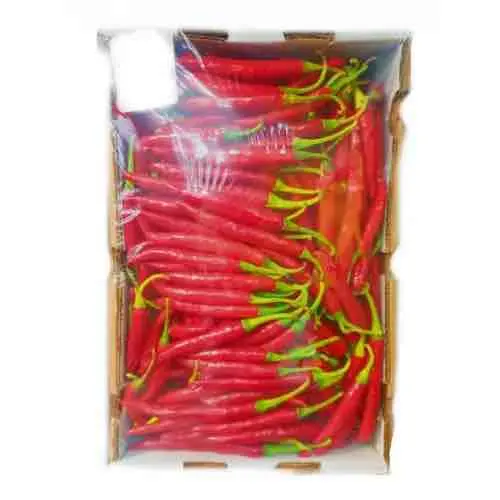 Piments frais à vendre/Fournisseur canadien Piments entiers naturels frais et séchés/Piment vert/Rouge à vendre