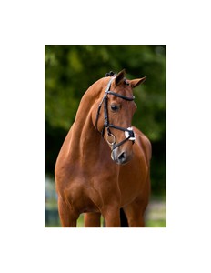 Rackle-Ridle, rantham, inteligente - Product Image 4