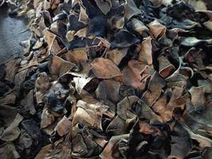 Paquete económico de esquejes de piel de vaca duraderos y flexibles Tipo dividido - Product Image 2