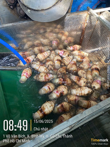 Cubos de trozos de taro congelado IQF de alto grado, vegetales de raíz procesados frescos para restaurante - Product Image 6