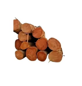 Troncos de madera natural Materias primas de madera Madera Iroko Madera Venta al por mayor Angola Construcción Pisos Construcción - Product Image 6