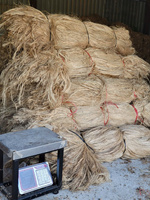 Tissu en Fibre de Banane en Gros de Haute Qualité, Écologique, Motif Brut, Longueur de Fibre Personnalisée – De BLUE LOTUS VIETNAM