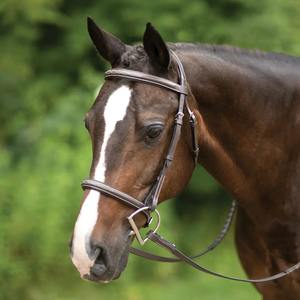 Genuine Full Horse Leather <b>Jumper</b> Bridle Western English Style Riding Equipment Durable and <b>Stylish</b> Bridle for Horse Riding - Product Image 2