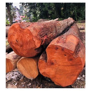 <b>African</b> Mahogany Wood Logs, Sustainable and Durable - Product Image 5