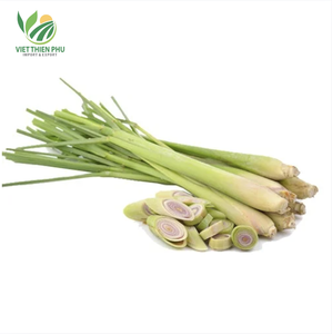 Viet Thien Phu Citronnelle biologique congelée fraîche et aromatique directement des serres au Vietnam Produit d'exportation - Product Image 3