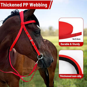 Customization Logo Low Price Horse Riding Bridles Solid Material <b>Top</b> Selling Horse Riding Bridles - Product Image 4