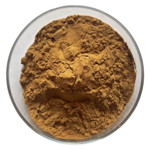 Hot Selling Vietnamese High Quality Agarwood Powder From Vietnam at Good Price for sale - Product Image 3