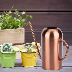 La bouilloire d'arrosage à longue bouche en acier inoxydable est un outil élégant et pratique conçu pour un arrosage précis et sans effort - Product Image 4