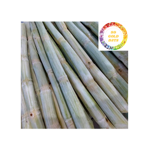 Bastón de caña de azúcar natural congelado, ideal para aplicaciones de jugo y batidos de Vietnam - Product Image 5