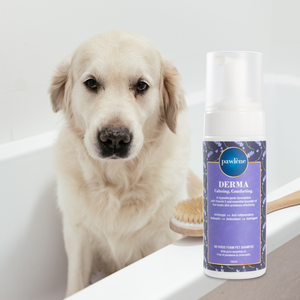Champú en Espuma para Mascotas Pawlene Derma Sin Enjuague, Aprobado por Peluqueros Profesionales, Promueve un Pelaje Saludable, Trata el Tiña, la Piel Escamosa y Desquiciada - Product Image 1