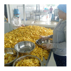 ชิปขนุนแห้งกรอบแบบธรรมชาติขนมขบเคี้ยวรสหวานจำนวนมากขายส่งคุณภาพระดับพรีเมียมโดยตรงจากผู้จำหน่ายในเวียดนาม - Product Image 6