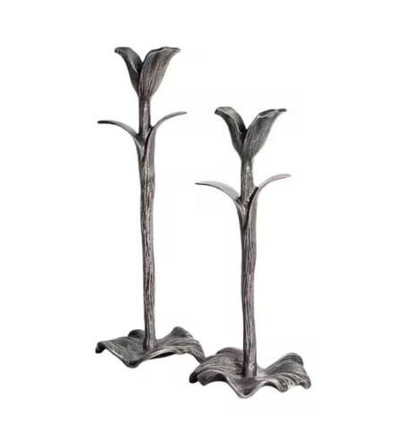 ตามที่แสดง