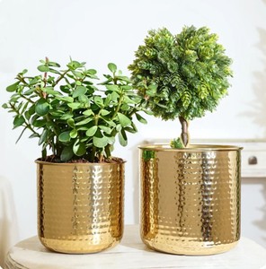 Juego de macetas de Metal de diseño acanalado para el hogar y la Oficina, macetas decorativas para interiores y exteriores para jardín y balcón, decoración del hogar - Product Image 5