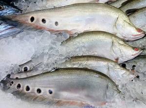 ปลาเนื้อเนื้อเนียนแช่แข็งขายดีที่สุด ปลาเนื้อเนียนแช่แข็งเกรดส่งออกจากเวียดนาม - Product Image 6