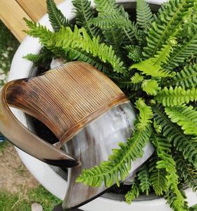 Meilleure qualité Viking corne à boire boeuf poignée en agate polie artisanat naturel haut de gamme chope à bière - Product Image 2