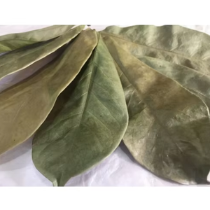 Hojas de Guanábana secas orgánicas/mezcla de hierbas naturales - Product Image 1