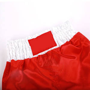 Meilleures ventes 2025 Shorts légers MMA Shorts d'art martial en spandex de style unique pour adultes Service OEM Vente en gros en ligne - Product Image 5