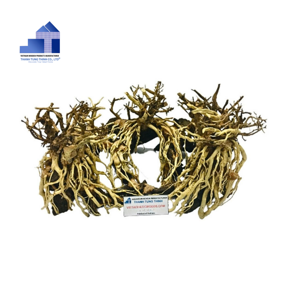 ธรรมชาติ