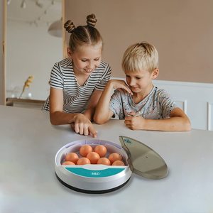 Mini Hoàn Toàn Tự Động Lồng Ấp Trứng 9 Gà Vịt Ngỗng Máy Hatcher Brooders Cho Gà Con - Product Image 3