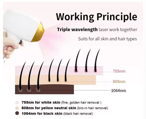 Dispositivo de Belleza Multifunción 3 en 1 con Diodo de 808nm para Depilación Permanente, Eliminación de Pigmentación y Tatuajes, con Enfriamiento Dinámico de Zafiro - Product Image 6