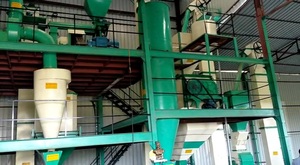 Nouveau 2 à 3 tonnes par heure horizontale pour la fabrication de granulés d'aliments pour bovins et volailles - Product Image 3