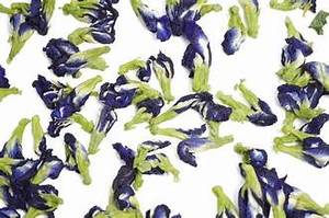 ผลิตภัณฑ์สมุนไพรธรรมชาติดอกถั่วอบแห้งทั้งผลเพื่อความงามสุขภาพและภูมิคุ้มกัน - Product Image 3