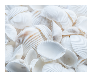 Concha de cuarzo Sun Shell Stone Energy Healing Crystal Crafts Sun Shell Shiva Heart para regalo de boda - Product Image 6