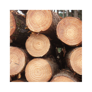 High Quality Kiln-Dried Pine Round <b>Logs</b> White Ash Kay and Teak Oak Saw <b>Logs</b> at Cheap Price High Quality Dried Timber - Product Image 2