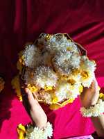 Aksesoris Penataan Rambut Jasmin Gajra Juda, Bunga Mawar Multiwarna, Pita Bunga, Bunga Mogra Plastik, untuk Hari Ibu dan Halloween