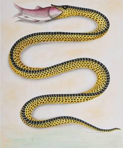 Modern Designer Traditional Hand Made Hand <b>Tufted</b> Wool <b>Rug</b> Snake Green Area <b>Rug</b> Premium Quality Large 100% New Zealand Wool - Product Image 6