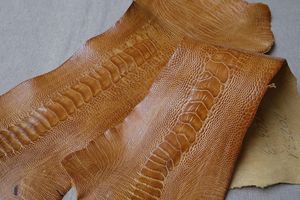Vente en gros de cuir d'autruche de haute qualité, multicolores, prix d'usine, cuir d'autruche véritable - Product Image 4